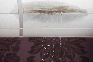 Home 39 water leak detection 2